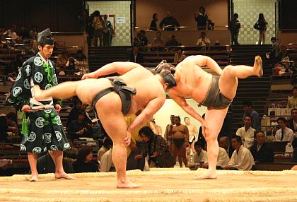 Fredag 26 september: Sumobrydning