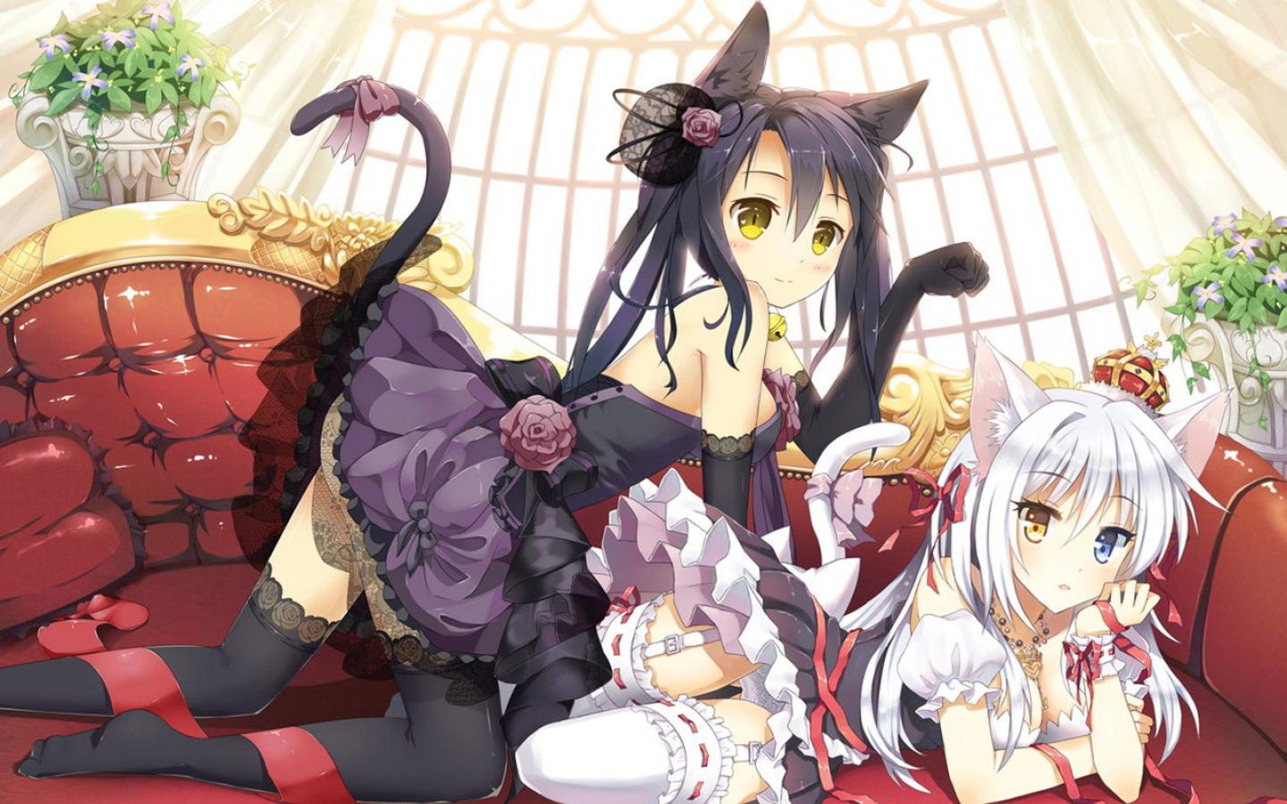 26 februar 2016 – Fastelavns fest